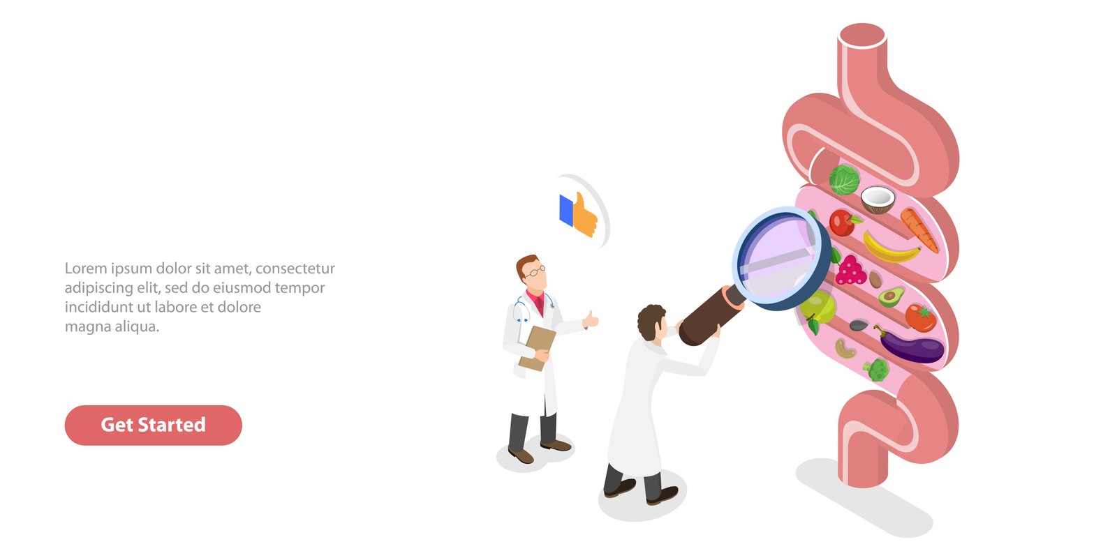 Gut Health and Weight Management: What the Evidence Can and Cannot Tell You supporting illustration