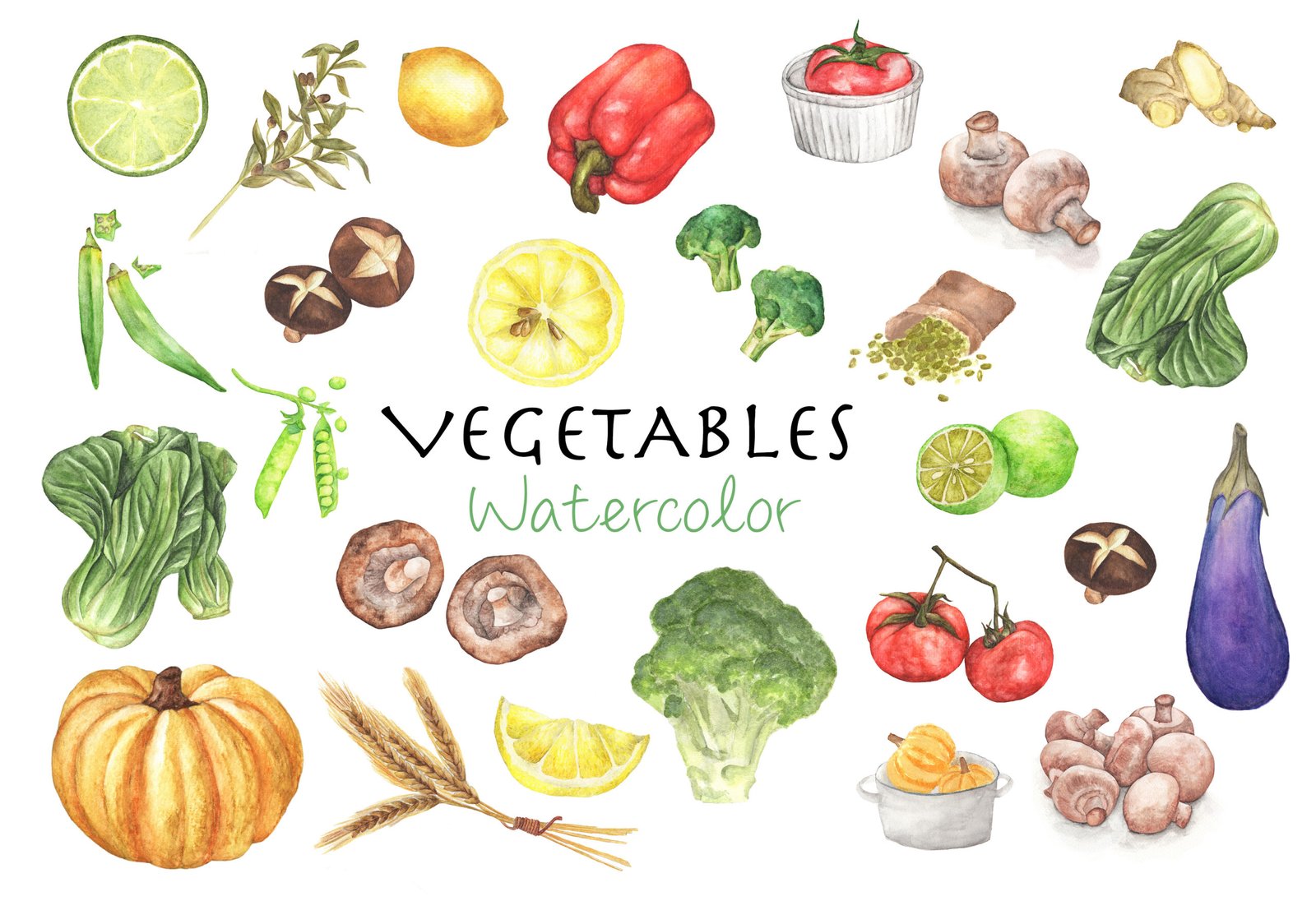 Watercolor illustration of fiber-rich vegetables