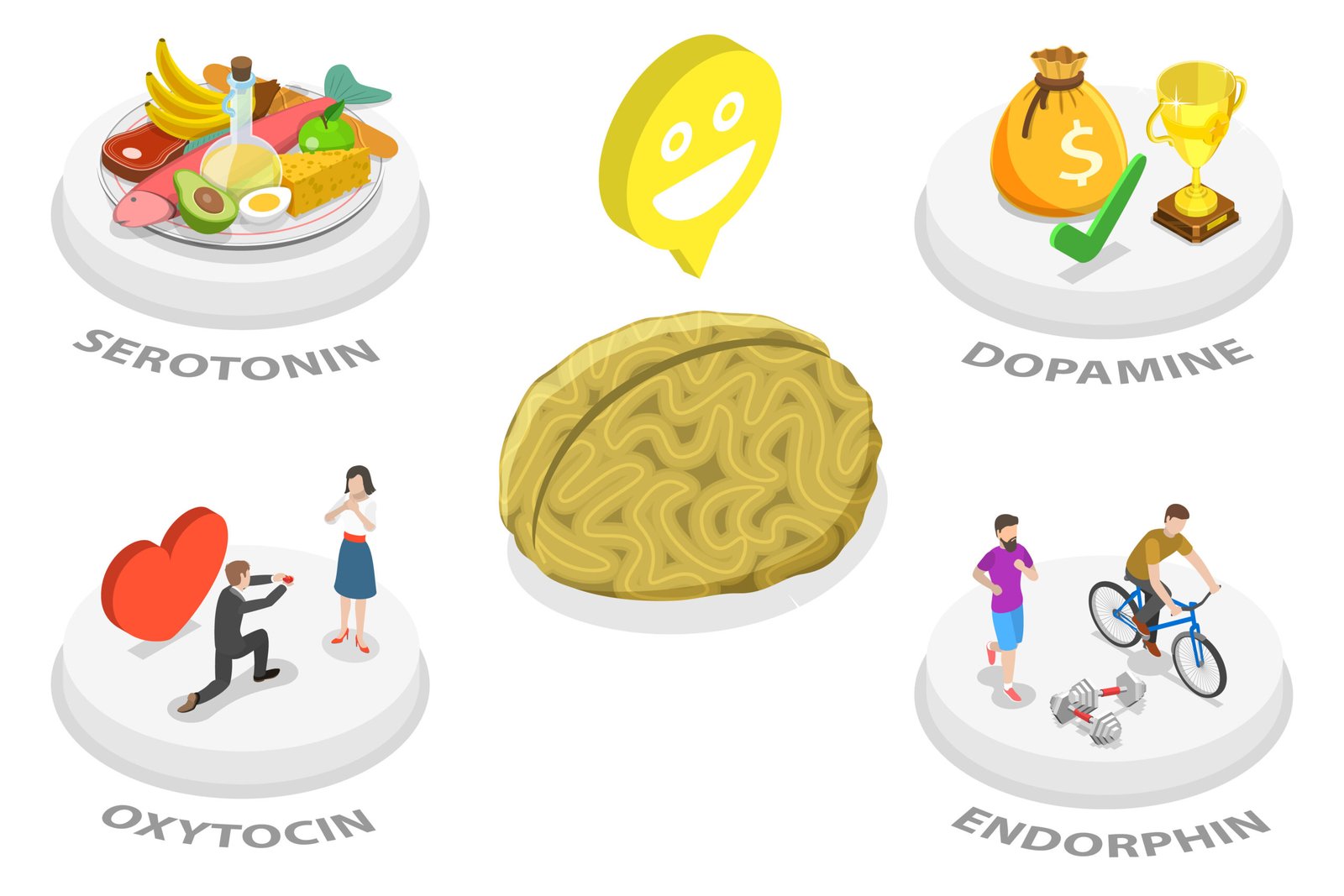 The gut-brain connection shown through serotonin, dopamine, diet and exercise
