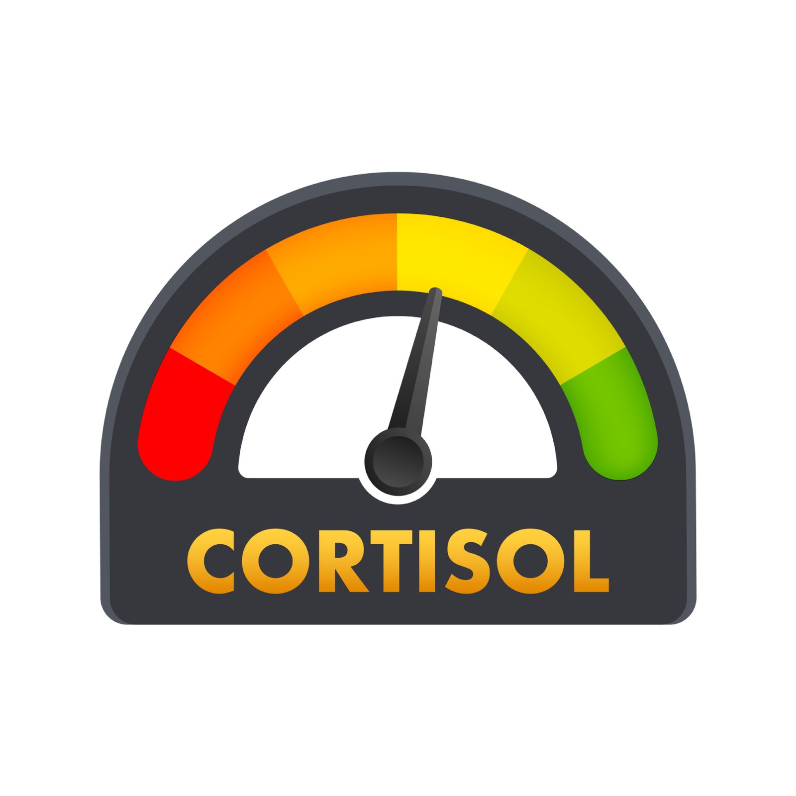 Cortisol level illustration for medical design